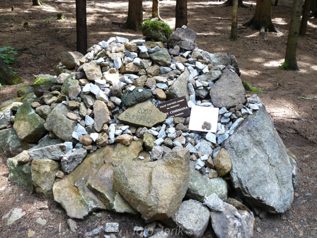 CK_2012
